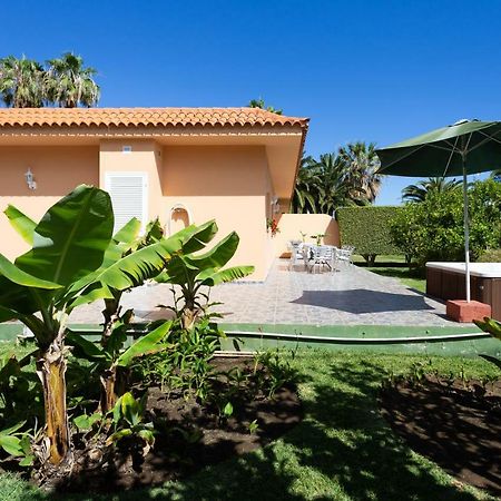Finca La Gaviota - Los Limoneros Icod De Los Vinos Eksteriør bilde